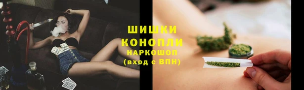 кокс Осташков