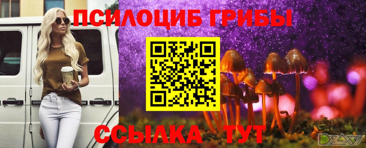 Псилоцибиновые грибы Psilocybe Когалым
